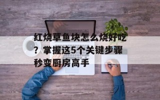 红烧草鱼块怎么烧好吃？掌握这5个关键步骤秒变厨房高手
