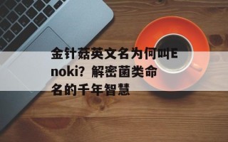 金针菇英文名为何叫Enoki？解密菌类命名的千年智慧