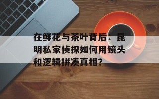 在鲜花与茶叶背后：昆明私家侦探如何用镜头和逻辑拼凑真相？