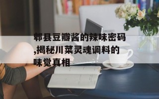 郫县豆瓣酱的辣味密码,揭秘川菜灵魂调料的味觉真相