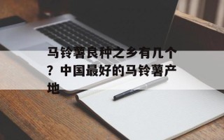 马铃薯良种之乡有几个？中国最好的马铃薯产地