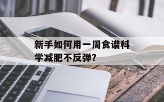 新手如何用一周食谱科学减肥不反弹？