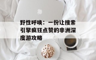 野性呼唤：一份让搜索引擎疯狂点赞的非洲深度游攻略