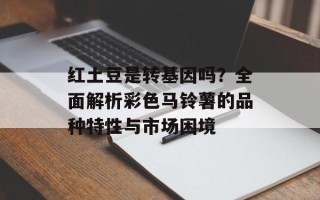 红土豆是转基因吗？全面解析彩色马铃薯的品种特性与市场困境
