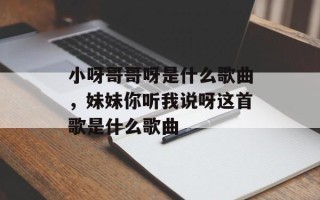 小呀哥哥呀是什么歌曲，妹妹你听我说呀这首歌是什么歌曲