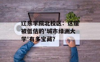 辽东学院北校区：这座被低估的'城市绿洲大学'有多宝藏？