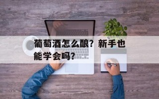 葡萄酒怎么酿？新手也能学会吗？