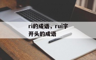 ri的成语，rui字开头的成语