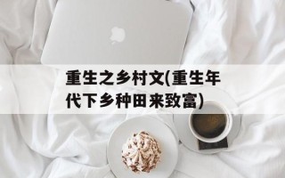 重生之乡村文(重生年代下乡种田来致富)