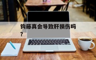 钩藤真会导致肝损伤吗？
