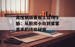 高压锅版番茄土豆炖牛腩：从厨房小白到宴客高手的终极秘籍