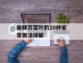 新鲜芥菜叶的20种家常做法详解