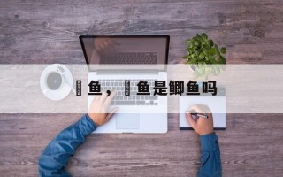 鲗鱼，鲗鱼是鲫鱼吗