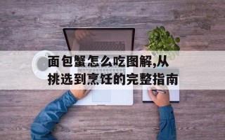 面包蟹怎么吃图解,从挑选到烹饪的完整指南
