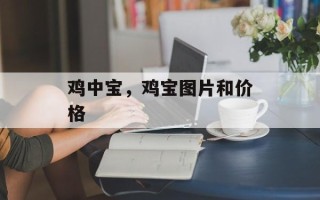 鸡中宝，鸡宝图片和价格