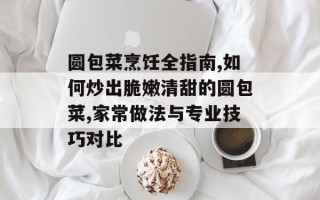 圆包菜烹饪全指南,如何炒出脆嫩清甜的圆包菜,家常做法与专业技巧对比