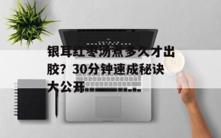 银耳红枣汤煮多久才出胶？30分钟速成秘诀大公开