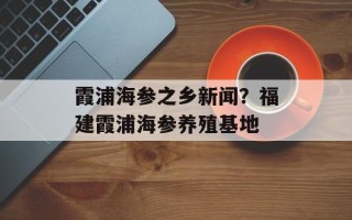 霞浦海参之乡新闻？福建霞浦海参养殖基地