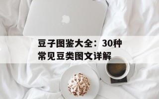 豆子图鉴大全：30种常见豆类图文详解