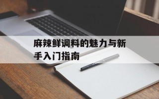 麻辣鲜调料的魅力与新手入门指南