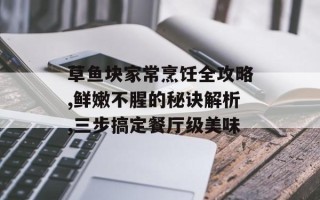 草鱼块家常烹饪全攻略,鲜嫩不腥的秘诀解析,三步搞定餐厅级美味