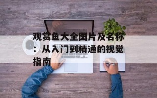 观赏鱼大全图片及名称：从入门到精通的视觉指南