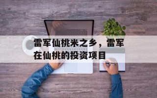 雷军仙桃米之乡，雷军在仙桃的投资项目