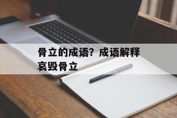 骨立的成语？成语解释哀毁骨立-第1张图片-