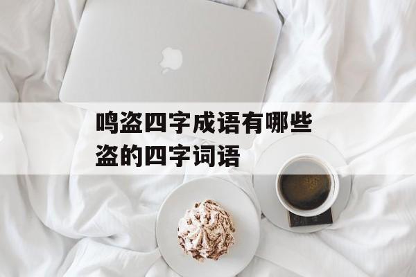 鸣盗四字成语有哪些 盗的四字词语-第1张图片-