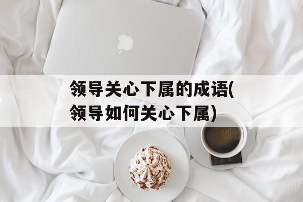 领导关心下属的成语(领导如何关心下属)-第1张图片-