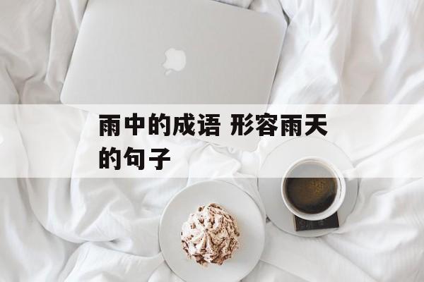 雨中的成语 形容雨天的句子-第1张图片-