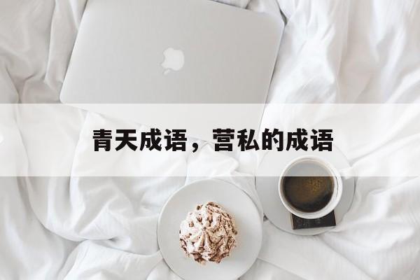 青天成语，营私的成语-第1张图片-