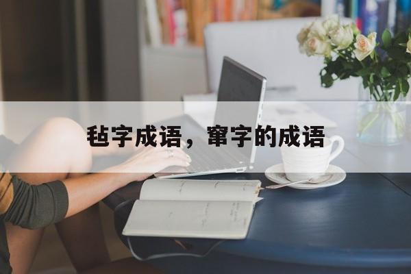 毡字成语，窜字的成语-第1张图片-