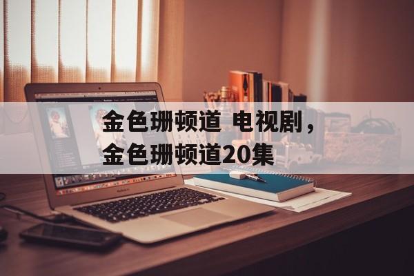 金色珊顿道 电视剧，金色珊顿道20集-第1张图片-