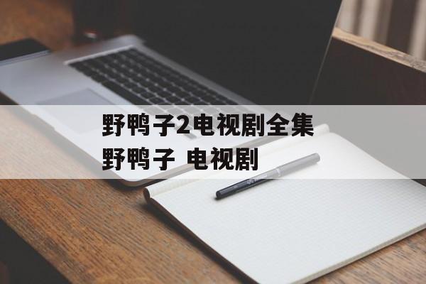 野鸭子2电视剧全集 野鸭子 电视剧-第1张图片-