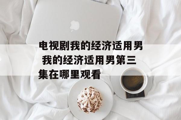 电视剧我的经济适用男 我的经济适用男第三集在哪里观看-第1张图片-