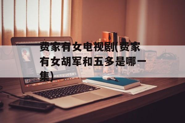费家有女电视剧(费家有女胡军和五多是哪一集)-第1张图片-