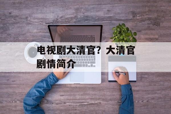电视剧大清官？大清官剧情简介-第1张图片-