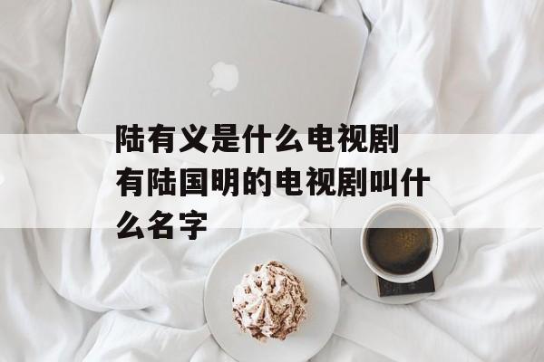 陆有义是什么电视剧 有陆国明的电视剧叫什么名字-第1张图片-
