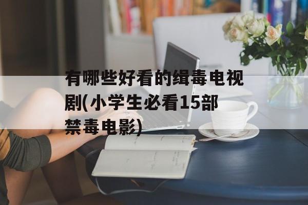 有哪些好看的缉毒电视剧(小学生必看15部禁毒电影)-第1张图片-