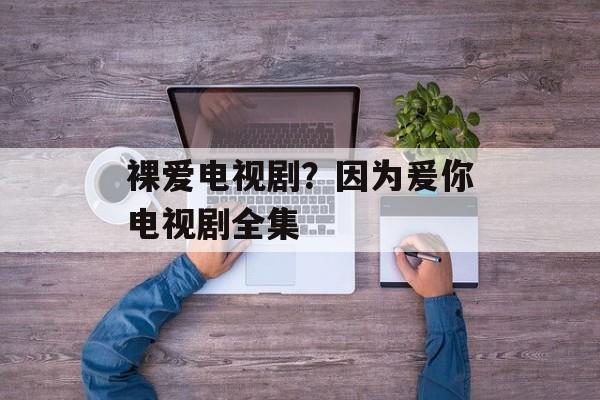 裸爱电视剧？因为爰你电视剧全集-第1张图片-