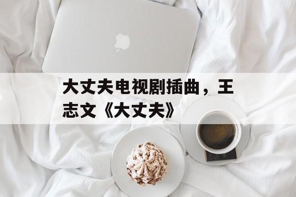 大丈夫电视剧插曲，王志文《大丈夫》-第1张图片-