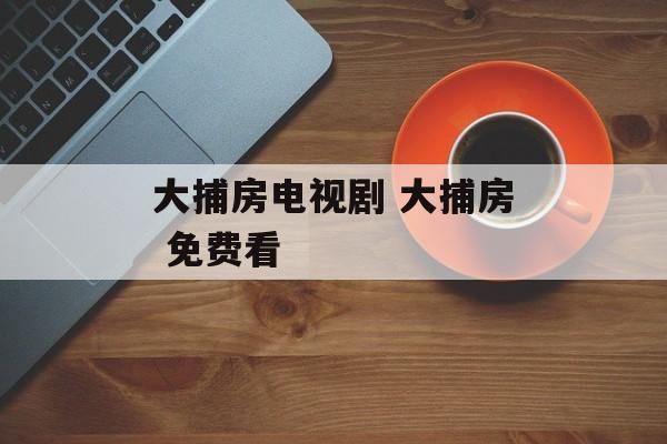 大捕房电视剧 大捕房 免费看-第1张图片-