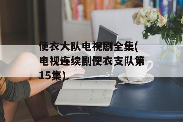 便衣大队电视剧全集(电视连续剧便衣支队第15集)-第1张图片-