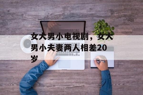 女大男小电视剧，女大男小夫妻两人相差20岁-第1张图片-