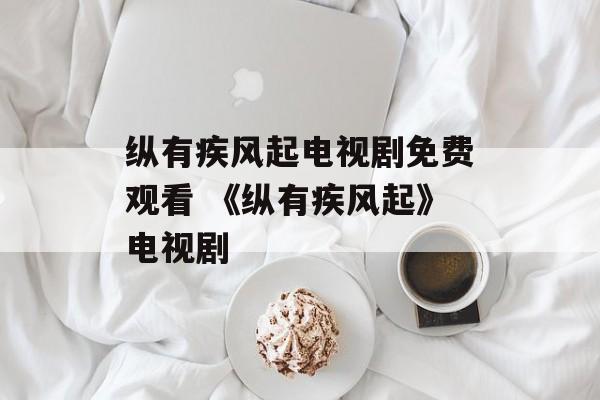 纵有疾风起电视剧免费观看 《纵有疾风起》电视剧-第1张图片-