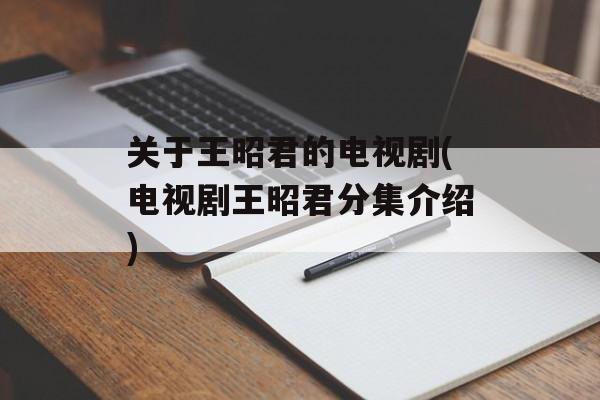 关于王昭君的电视剧(电视剧王昭君分集介绍)-第1张图片-