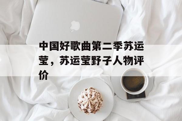 中国好歌曲第二季苏运莹，苏运莹野子人物评价-第1张图片-