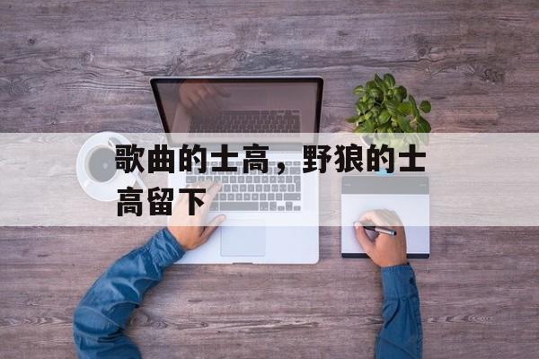 歌曲的士高，野狼的士高留下-第1张图片-