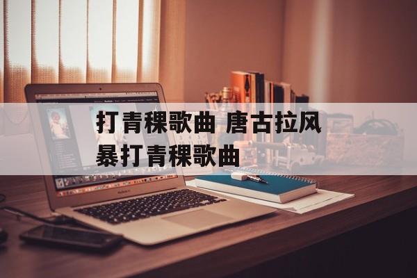 打青稞歌曲 唐古拉风暴打青稞歌曲-第1张图片-